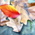 autumn-leaves