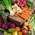 Farmer's Market - Organic Vegetables