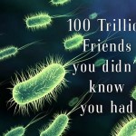 friendly bacteria