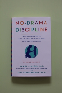 No Drama Discipline